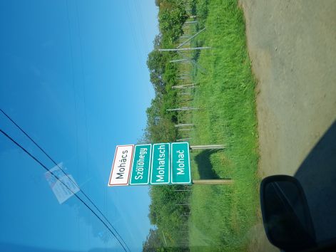 20250429_080730.jpg