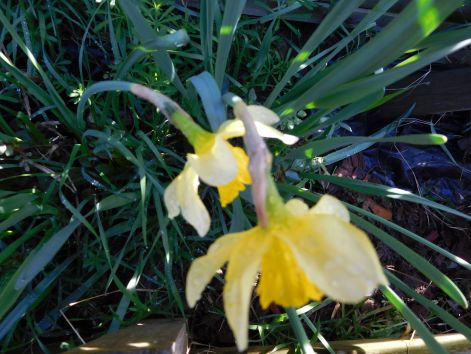 dscn2870.jpg