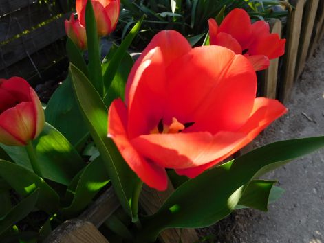 dscn2901.jpg