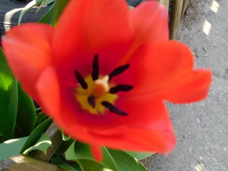 dscn2902.jpg